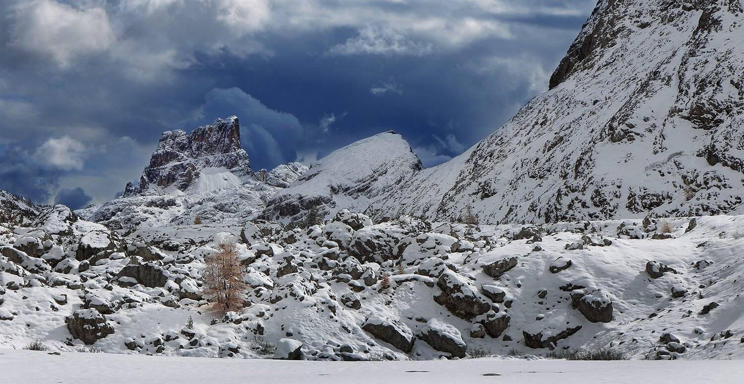 , Игорь Дубровский