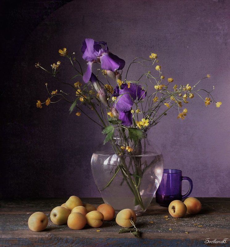 Абрикосы, Ирисы, Натюрморт, Фотонатюрморт, Цветы  фото превью
