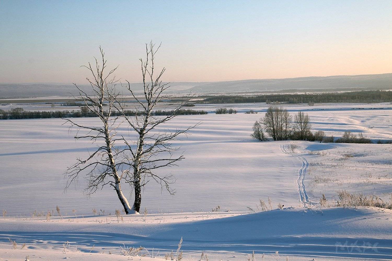 , Шангареев Марс