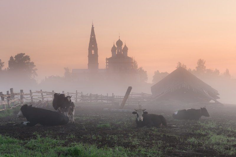 *** фото превью
