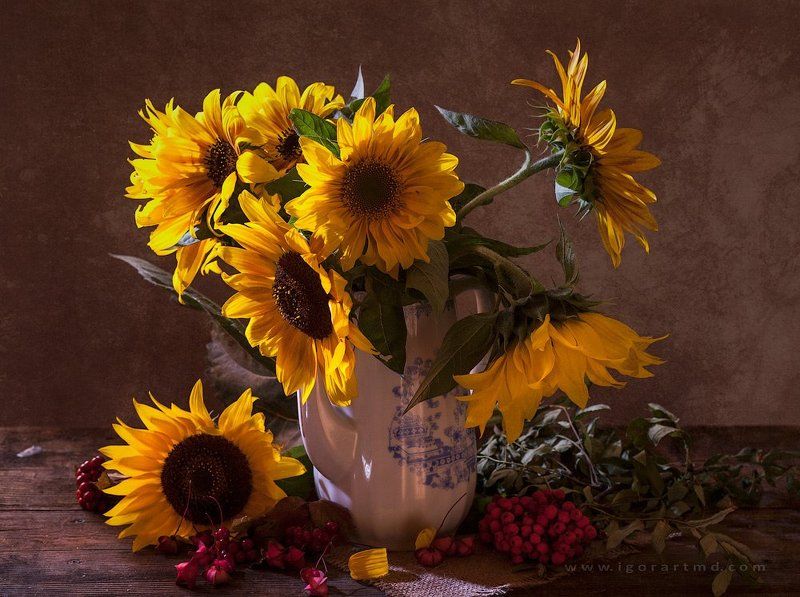 Yellow фото превью