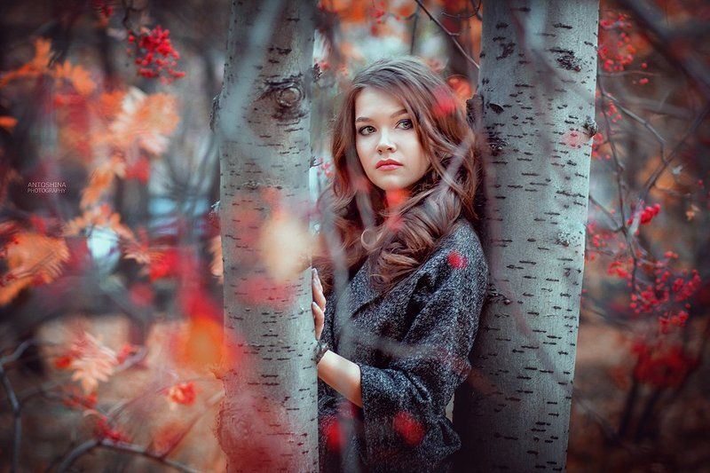 портрет, осень, portrait, autumn, trees **** фото превью