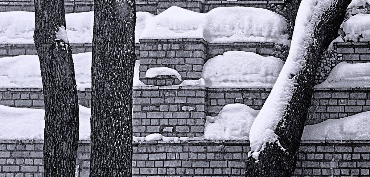 , Елена Лаврова