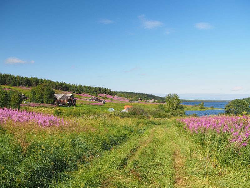 Карелия. Белое море фото превью