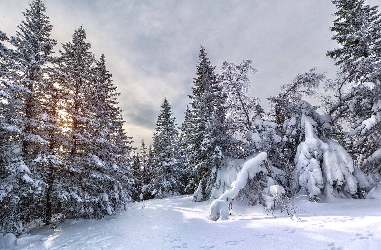 , Скиндерева Ольга