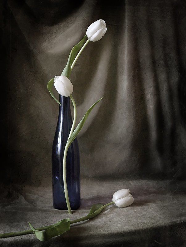 Триада фото превью