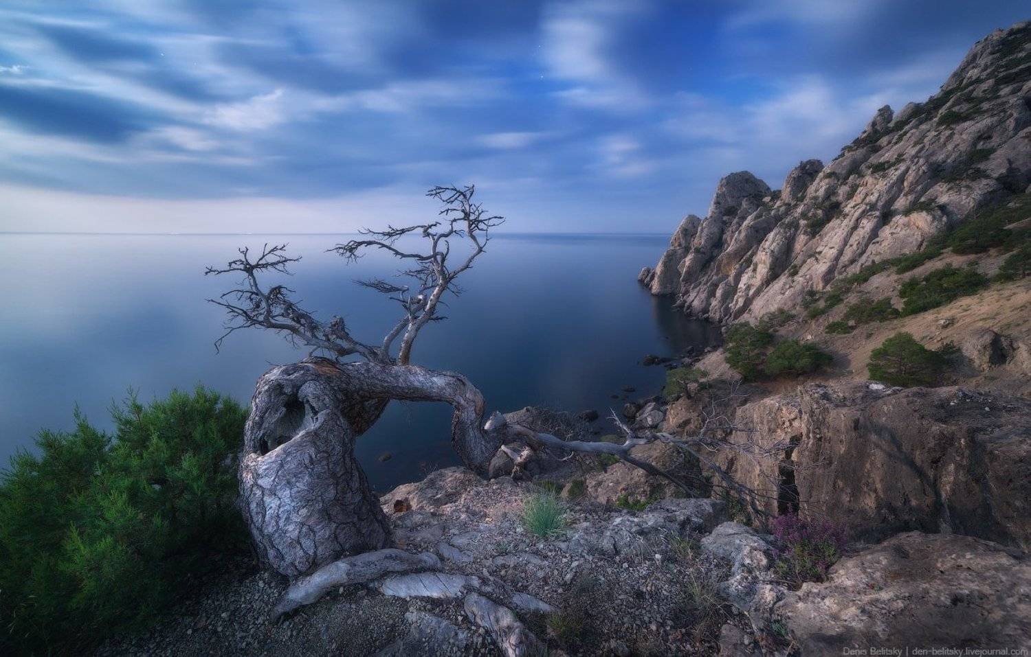 пейзаж, крым, ночь, луна, горы, дерево, скалы, море, облака, небо, ночной пейзаж, новый свет, Денис Белицкий