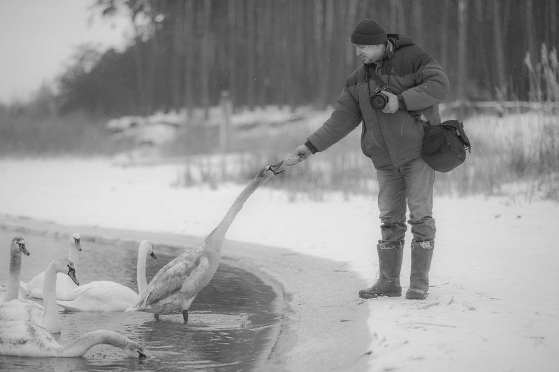 д и а г о н а л ь фото превью