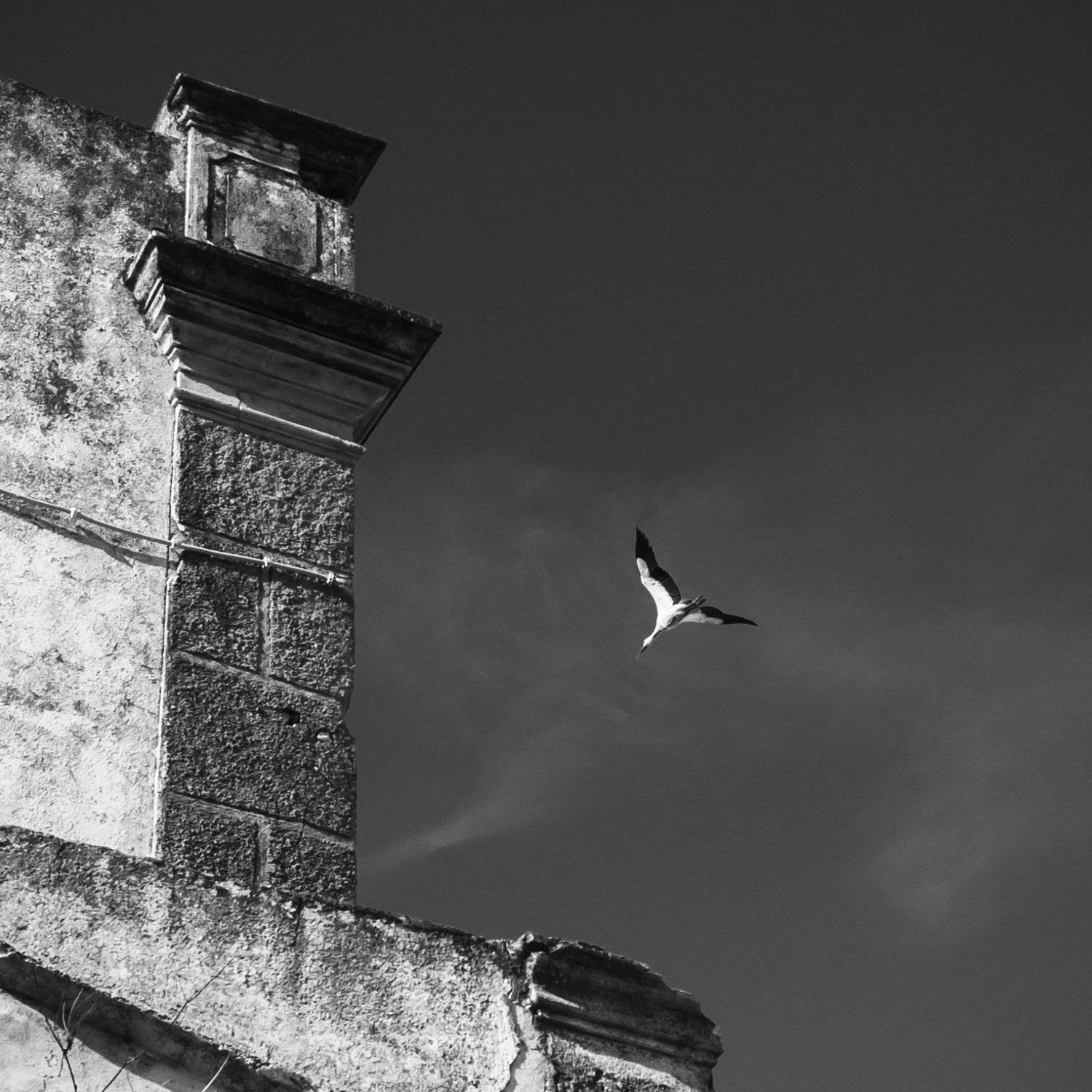 абстракция, ассоциации, монохром, геометрия, путешествия, минимализм, Виктория