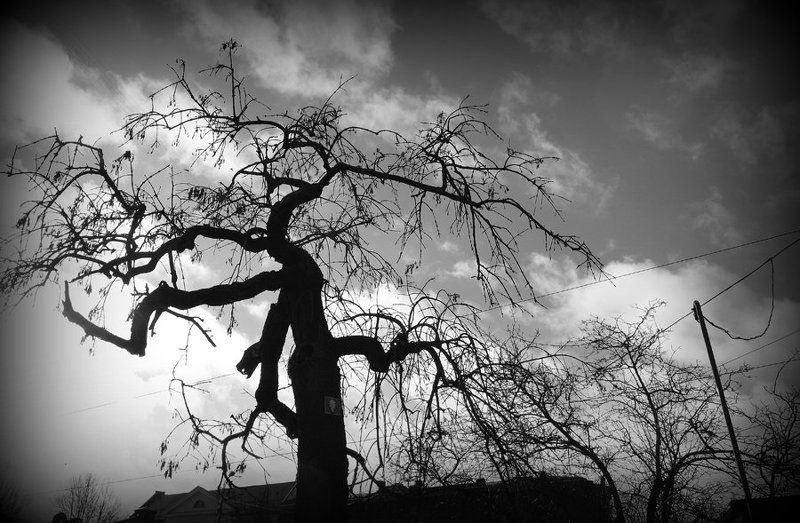 gsa фото превью