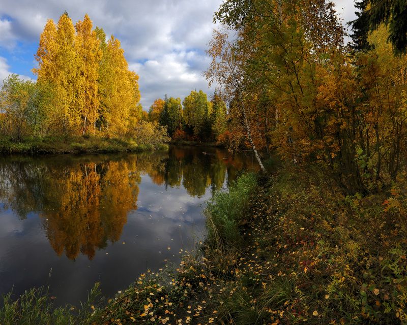Осень. Золото югорской осени фото превью