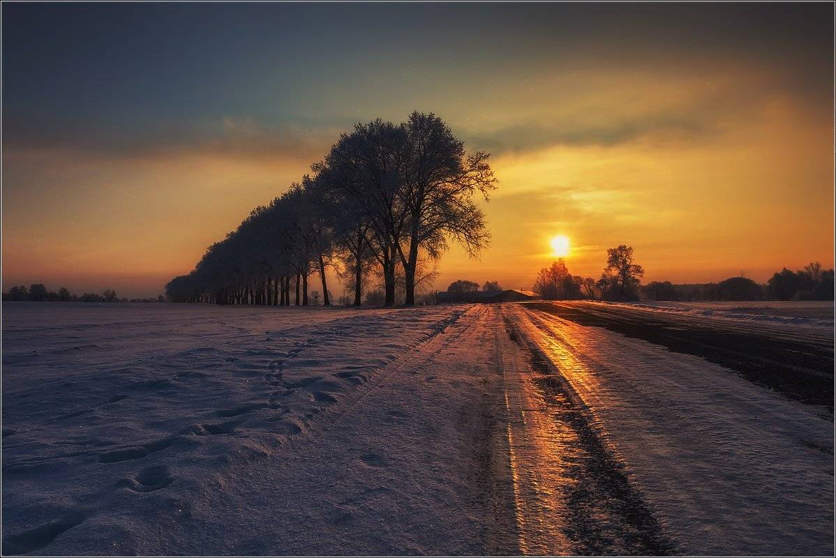 , Daiva