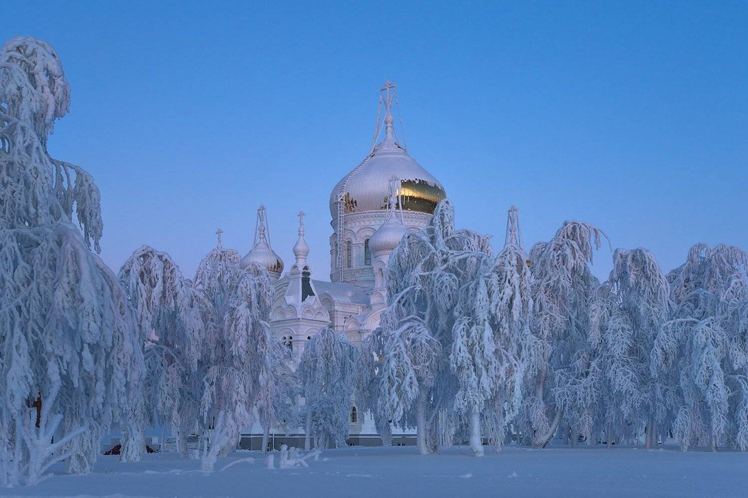 , Михаил Туркеев