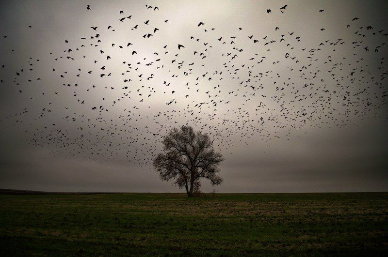 в ожидании фото превью