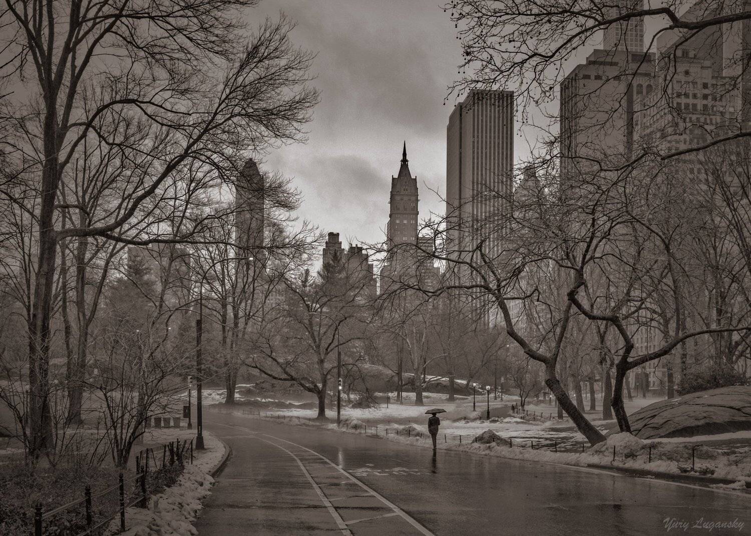 February  Central Park new york city, Yury Lugansky