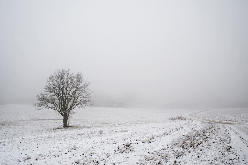 Туманная обочина фото превью