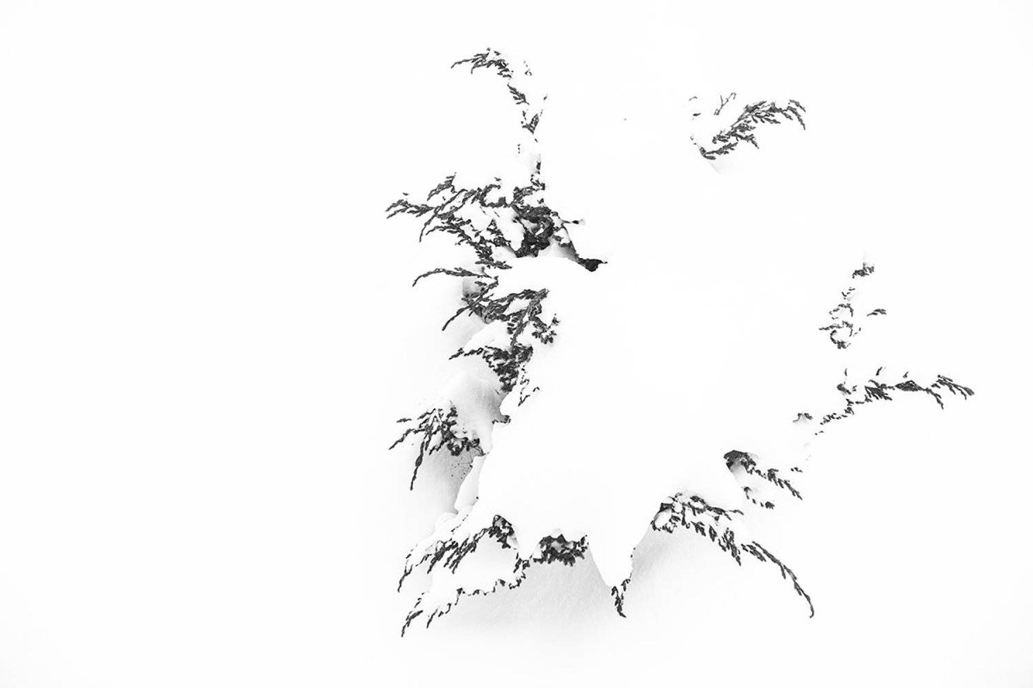 , Денис Духовник