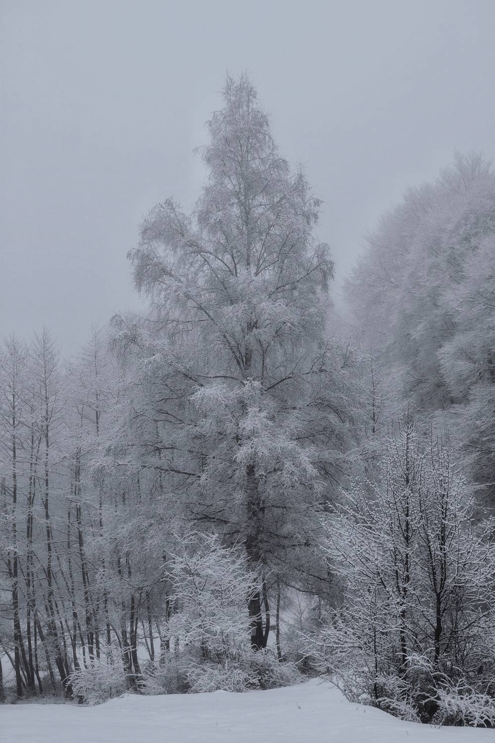 , Юлияна Стоянова