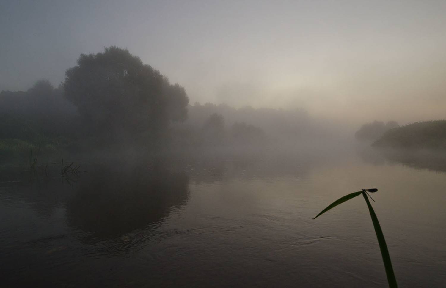 утро, лето, туман, якшино, река упа, Михаил Агеев