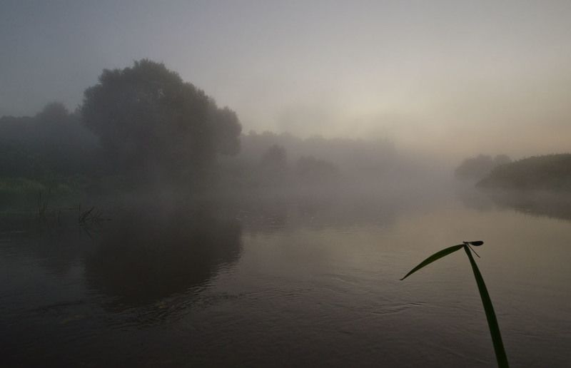 утро, лето, туман, якшино, река упа Далеко от больших городов фото превью