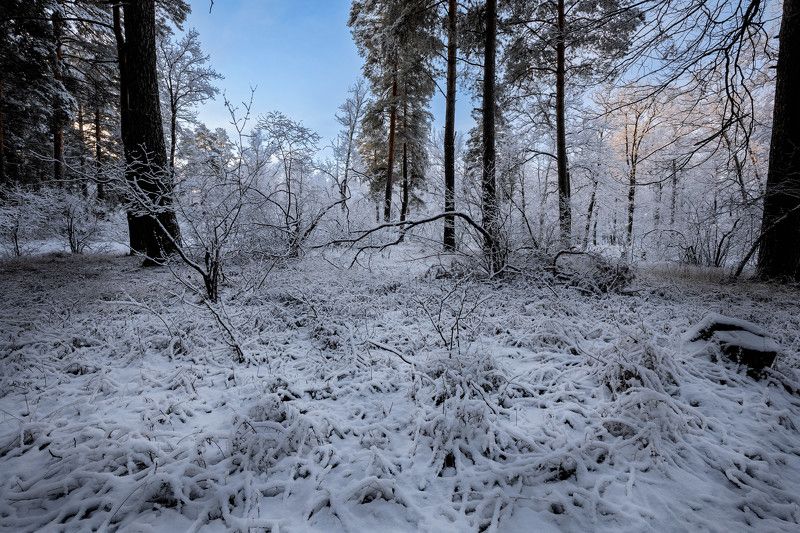 Зимнее утро фото превью