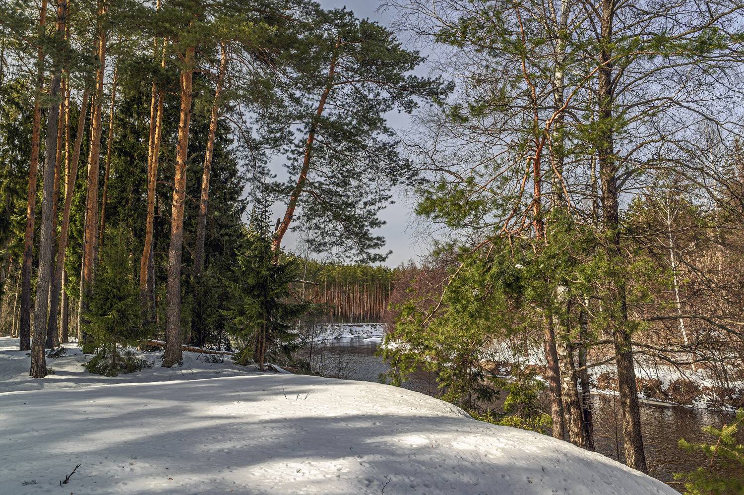 , Шитов Александр