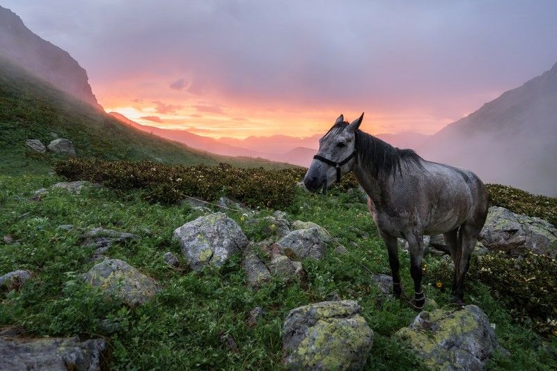 Закат в горах фото превью