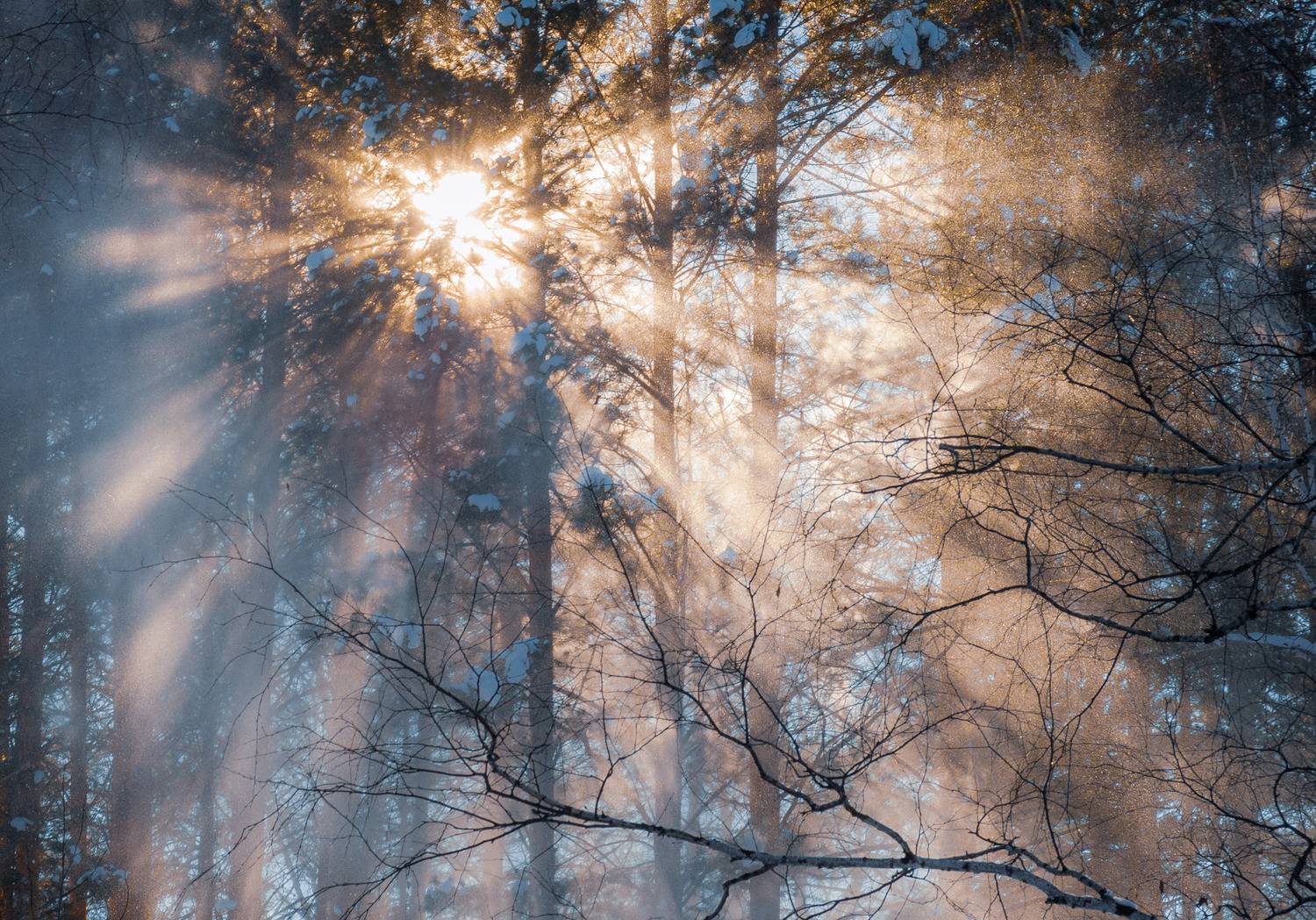 , Шустиков Дмитрий