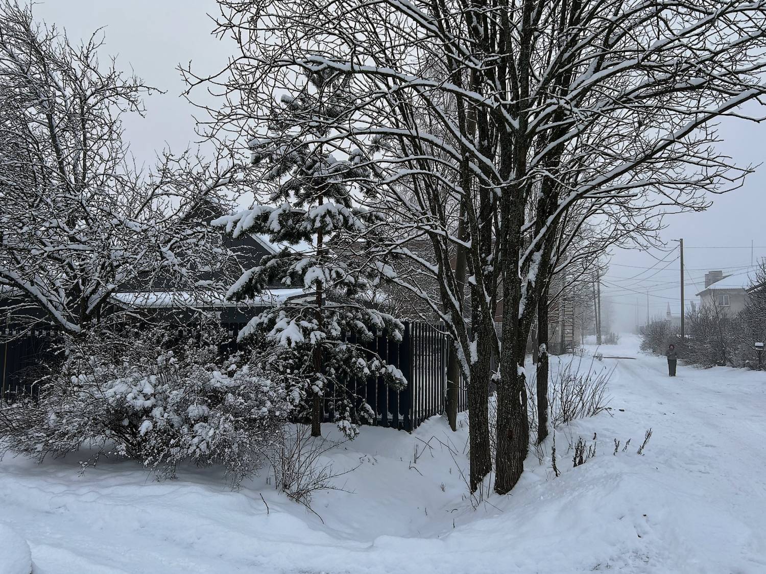 , Новикова Ольга