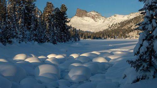 Январь на Светлом