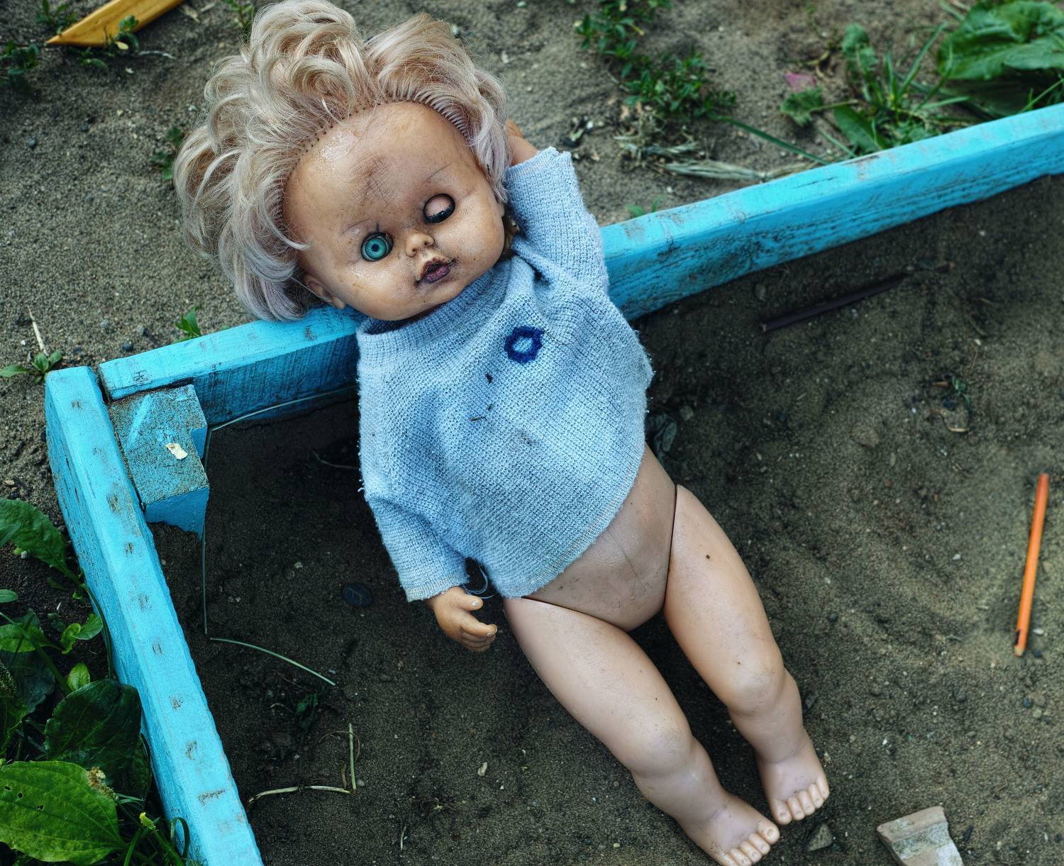 , Лофицкая Лариса