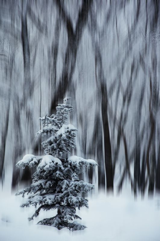 *** фото превью