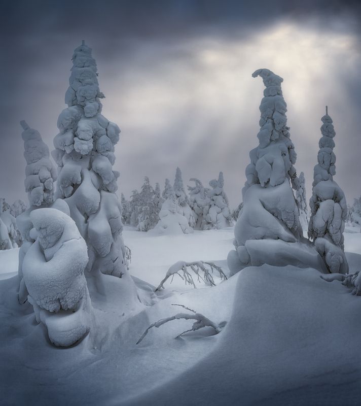 В царстве снежных великанов фото превью