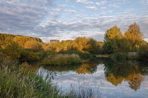Осень на озере