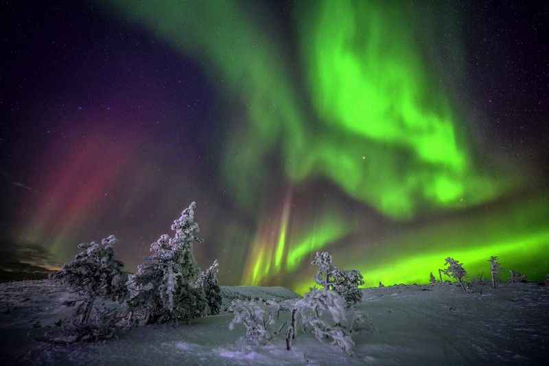 Танец Авроры фото превью