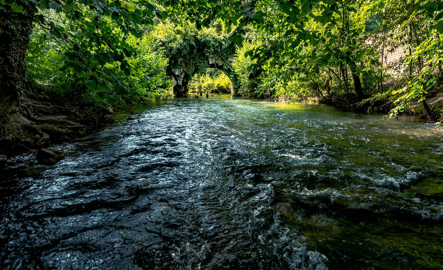 , Владимир Ноздрачев
