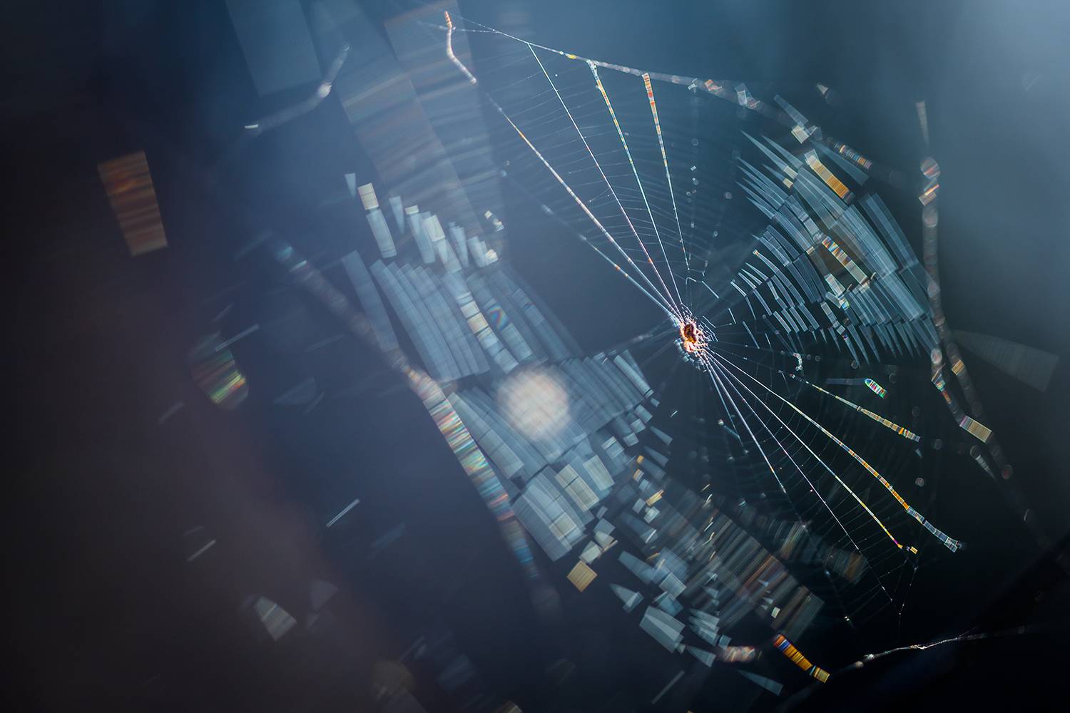 , Илья Михеев