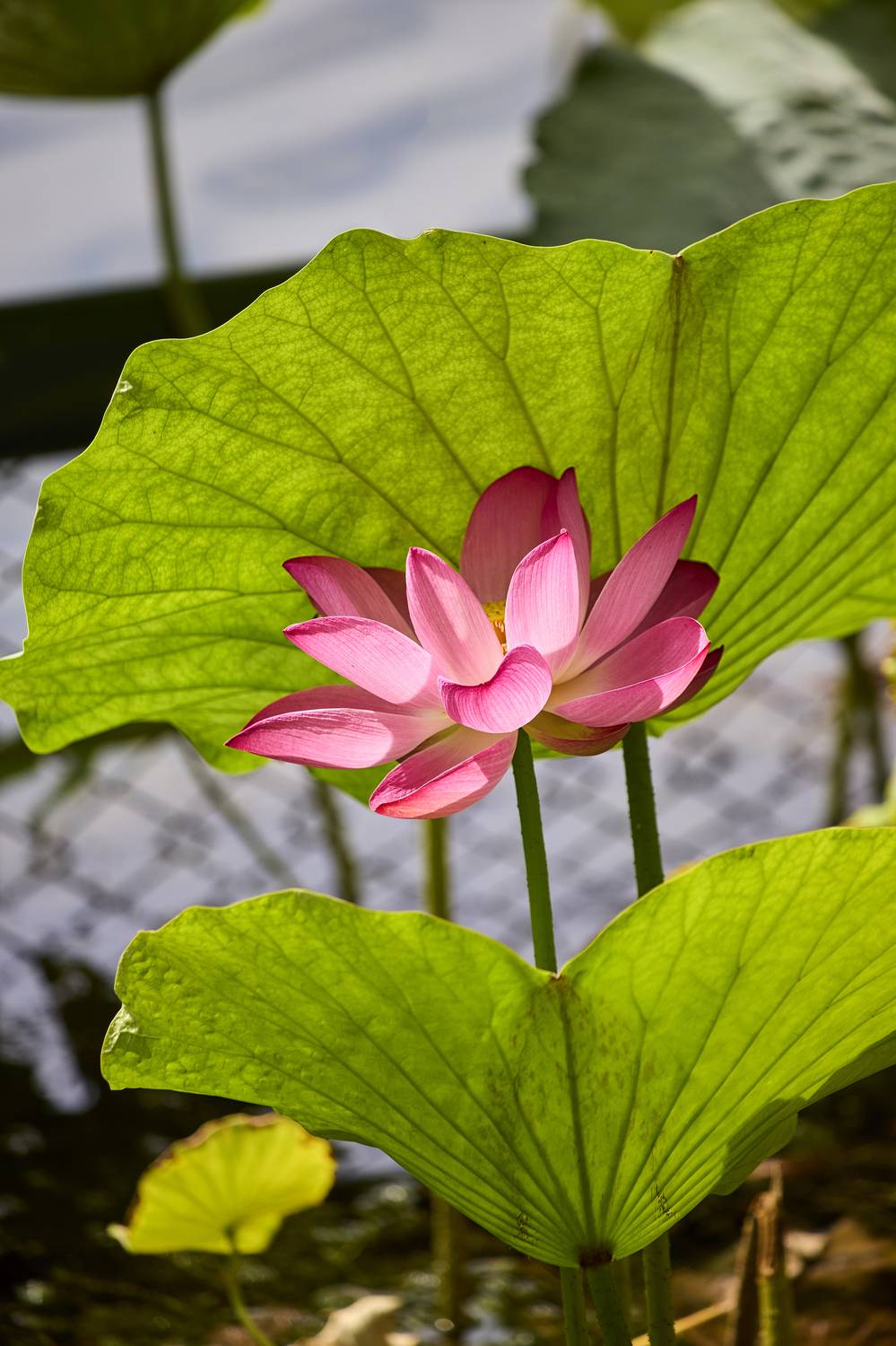 , Байбородин Михаил