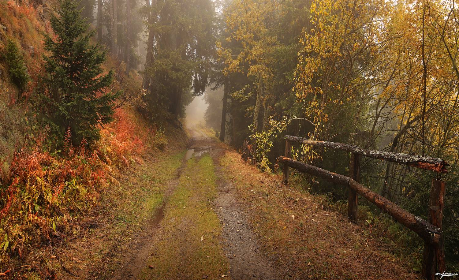 swiss,швейцария,осень,горы,туман,bettmeralp, Матвеев Николай