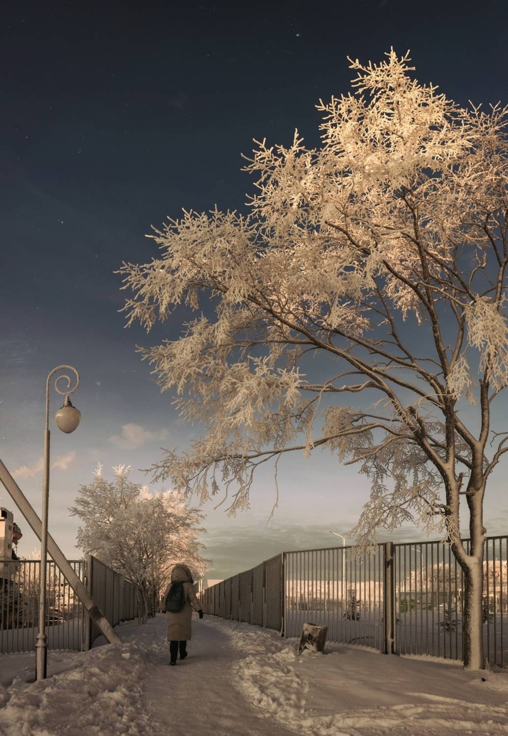 панорама, зима, январь, город, архангельск, вечер, снег, иней, мороз, деревья, забор, фонарь, переулок, Вера Ра