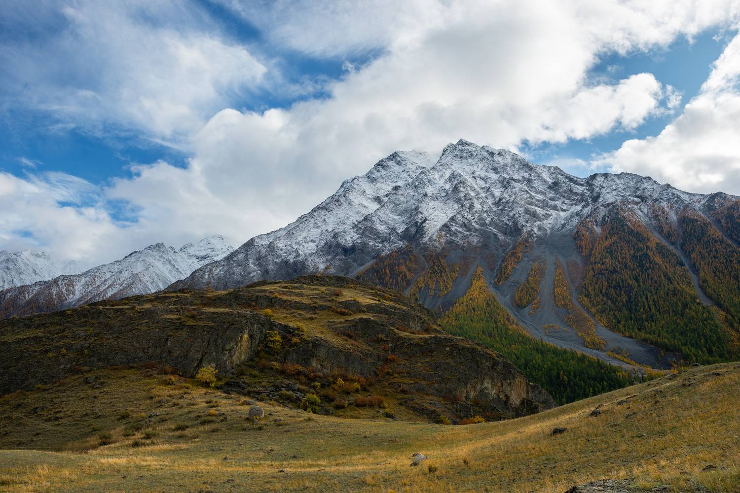 , Рустем Диков