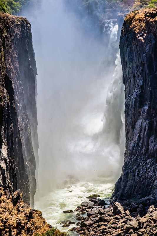 ЗАМБЕЗИ фото превью