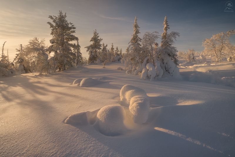 кольский, зима, фототур на кольский, мурманская область, зимний кольский, заполярье Северный десерт фото превью