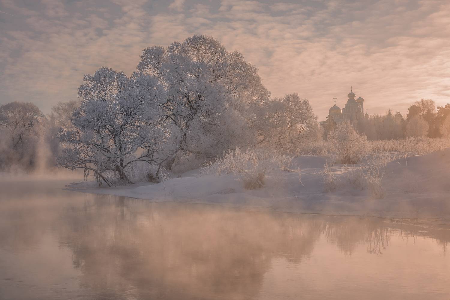 Истра, Гусева Елена