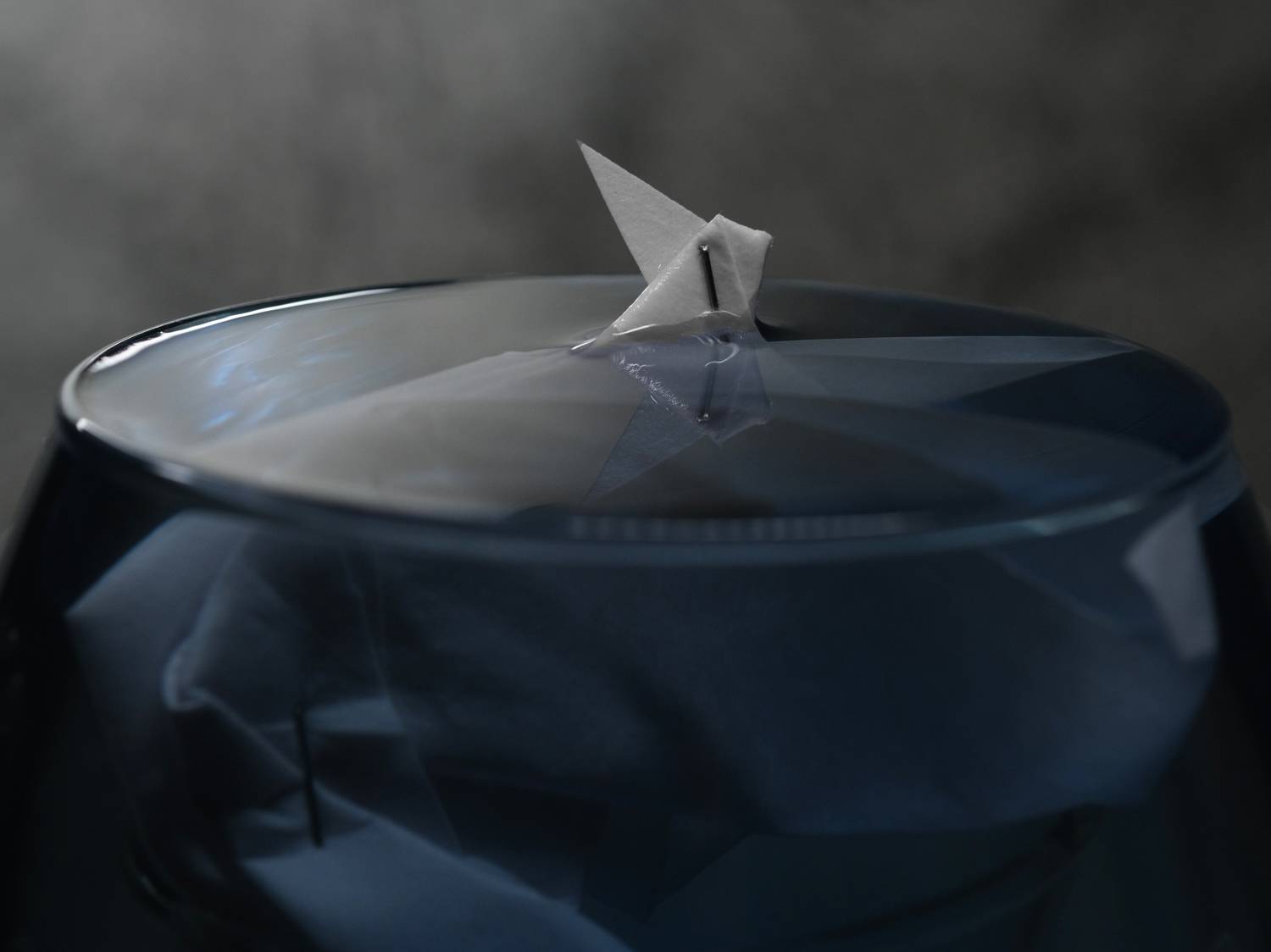 , Тим Мартынов