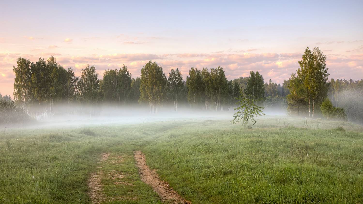 природа лето утро туман поле, Юрий Спасенников