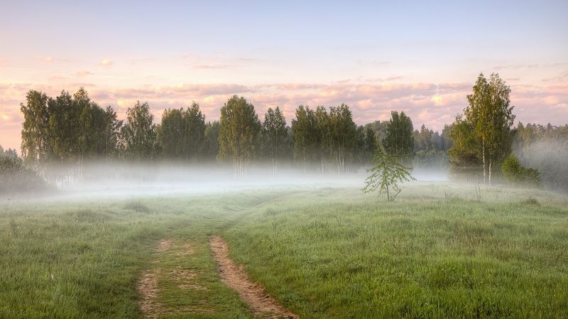 природа лето утро туман поле Я приглашаю Вас в туман.. фото превью