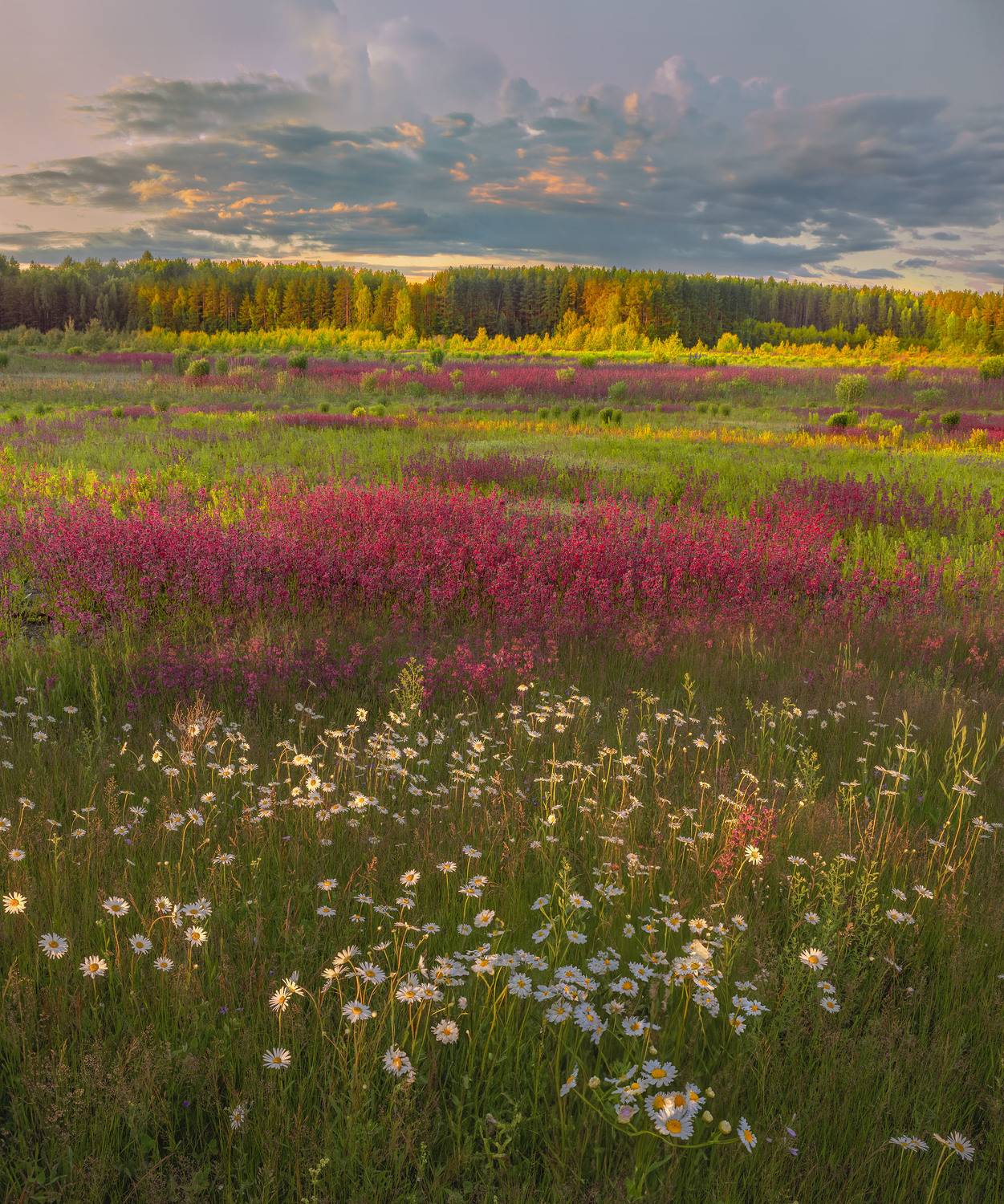 Фототуры с Владимиром Рябковым,#topnature #russpasibo #magic_shots #lovelyRussia #sunset_vision #exclusive_sky  #exclusive_shots #loves_russia2 #photoarena_nature #nature_sultans #nature_perfection #rsa_sky #rsa_sunset #photorussia #rsa_naturepics #sunset, Владимир Рябков