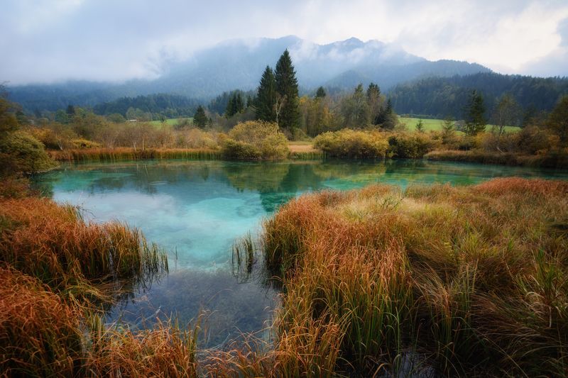 словения, озеро, пейзаж, вечер Озеро Зеленцы (Zelenci) в Словении фото превью