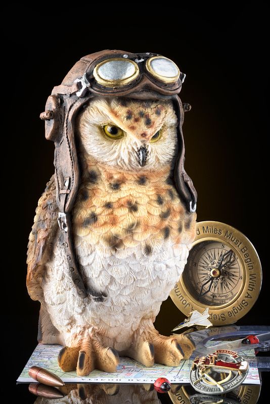 Сова-пилотяга фото превью